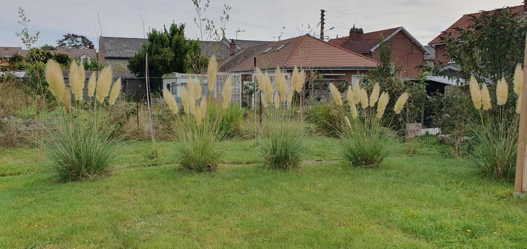 Maison confortable, terrasse et jardin à Amiens Esterno foto